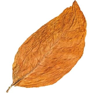 Balkans tobacco