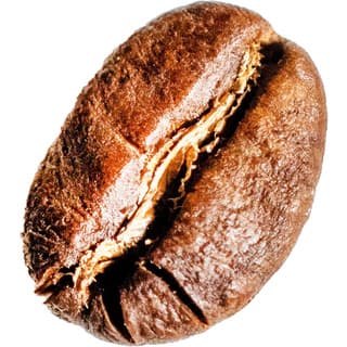 Arabica coffee absolute