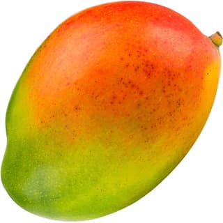 Caribbean mango