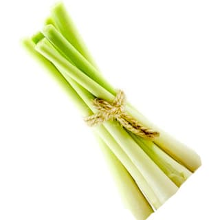 Guatemala lemon grass