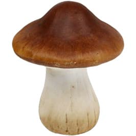 Mushroom absolute