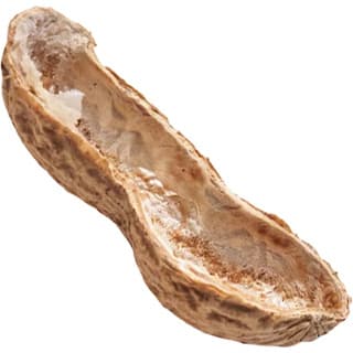 Peanut husk