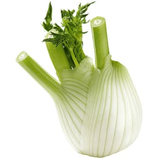 Greek fennel