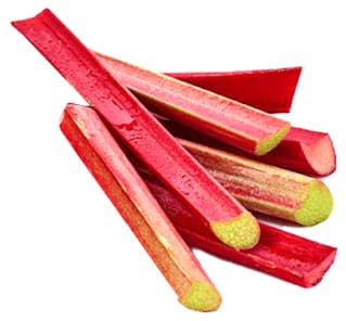 Chinese rhubarb