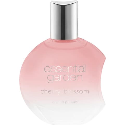Cherry Blossom