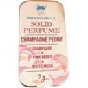 Champagne Peony