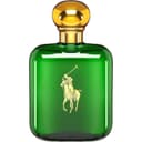Polo EDT