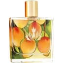 Mango Nectar EDP