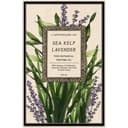 Sea Kelp Lavender