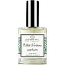 White Verbena