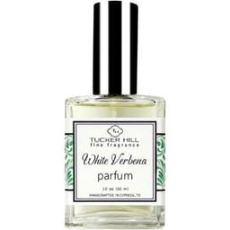 White Verbena