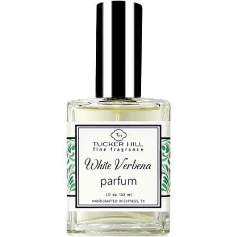 White Verbena