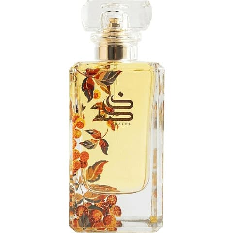 Amber by Khales perfume bottle
