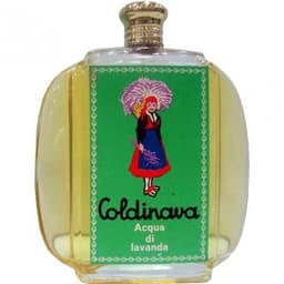 Lavanda Coldinava