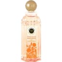 Fraîcheur Mandarine