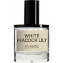White Peacock Lily