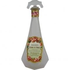 Cream of Roses