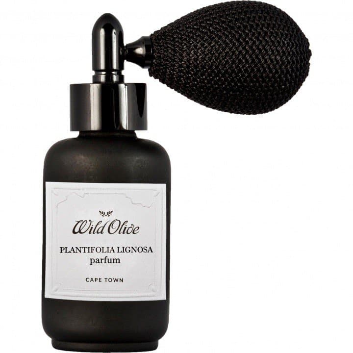 Plantifolia Lignosa by Wild Olive perfume bottle