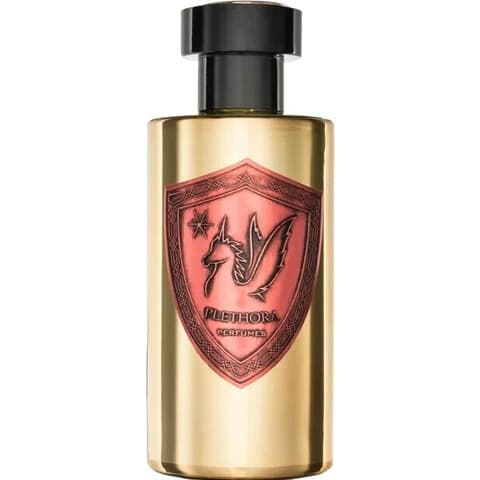 Noir by Plethora / بـلـيـثـورا perfume bottle