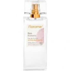 Rose Eclatante