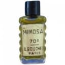 Mimosa