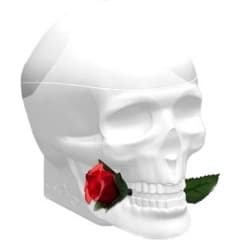 Skulls & Roses for Her by Ed Hardy perfume bottle