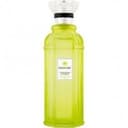 Cologne Authentic - Rayon Vert