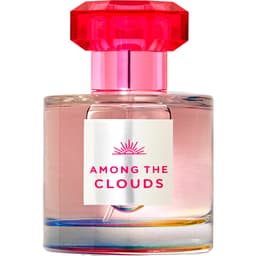 Among the Clouds EDP