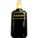 Blackbird
