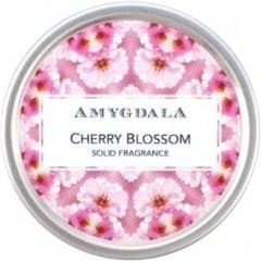Cherry Blossom