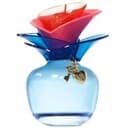 Someday Special Edition