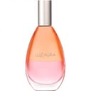 Luz Aura