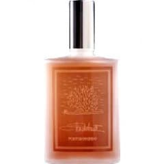 Chourilium by Claudio Zanettin perfume bottle
