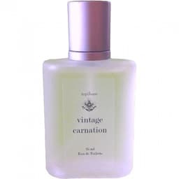 Vintage Carnation