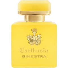 Intenso di Ginestra