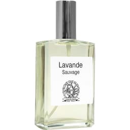 Lavande Sauvage