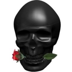 Skulls & Roses for Him by Ed Hardy perfume bottle