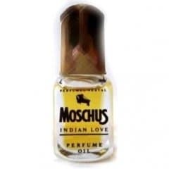 Moschus Indian Love