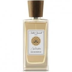 Whisper by Contro Corrente perfume bottle