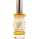 Souvenir d'Anna - Oriental EDP